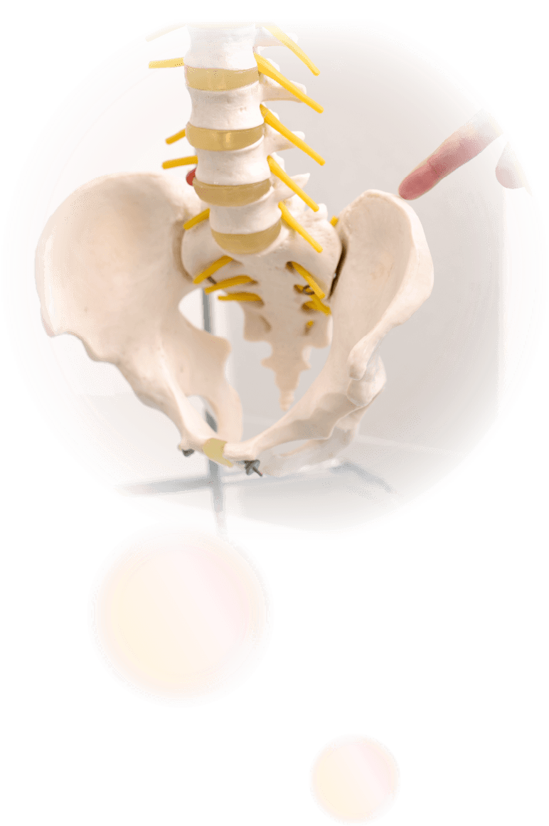 bone