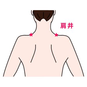 肩井