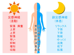 jiritusinkei